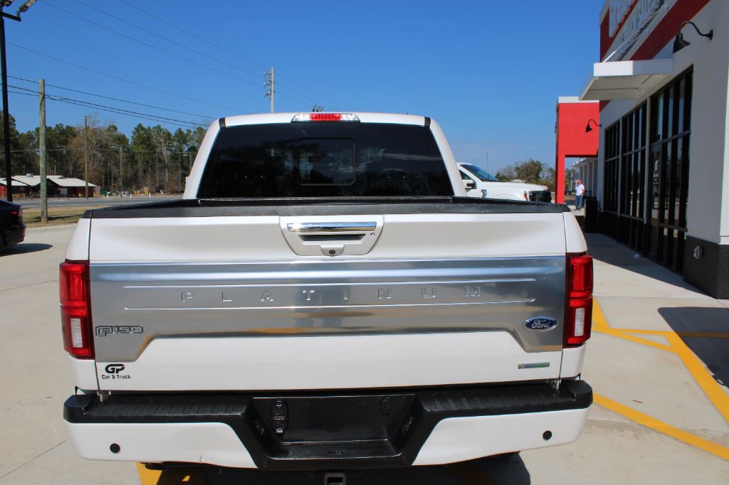 2019 Ford F-150 Platinum - Photo 11